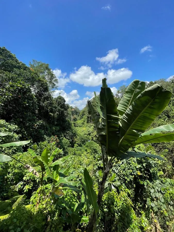Santa Mandala Villa Ubud